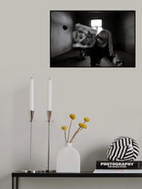Screaming loud Poster och Canvastavla