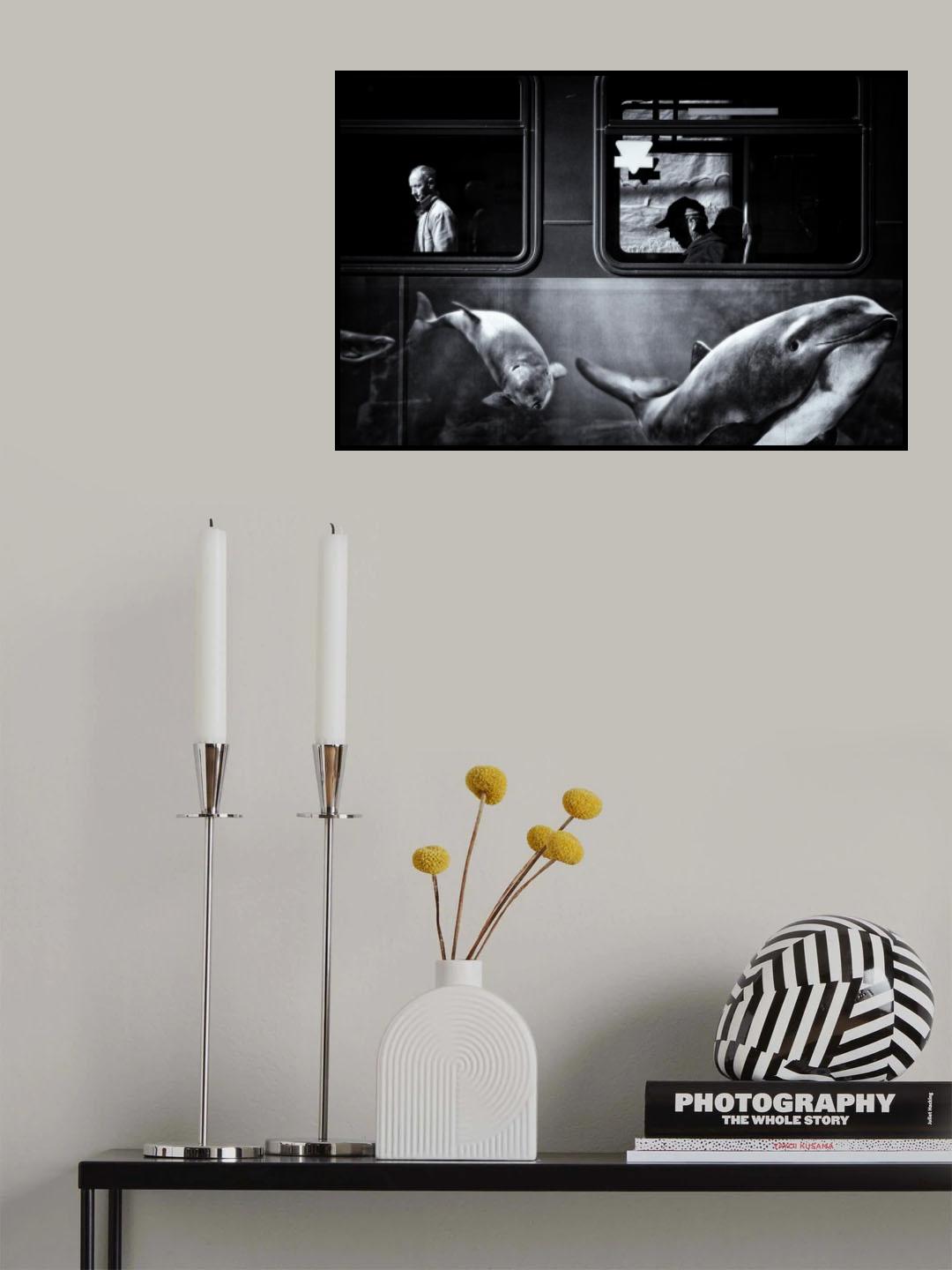 :: Poster och Canvastavla