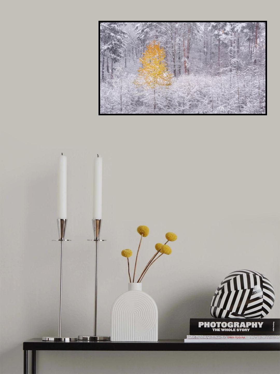 Transition Poster och Canvastavla