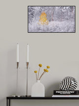 Transition Poster och Canvastavla