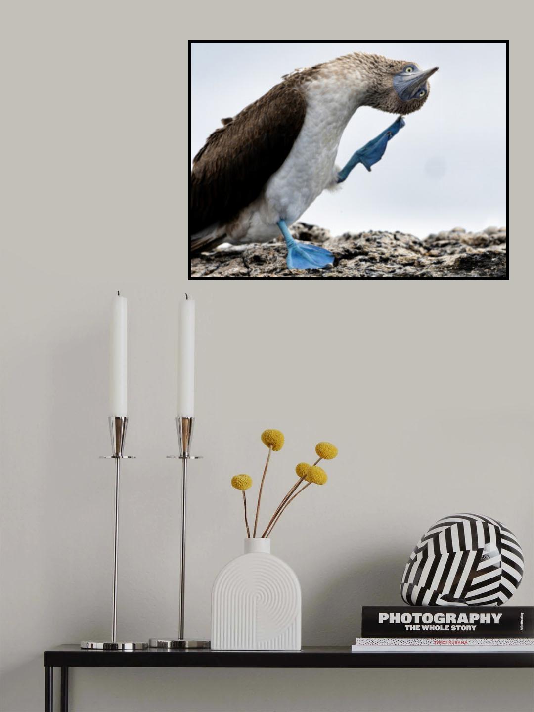 If I could just remember..... Poster och Canvastavla
