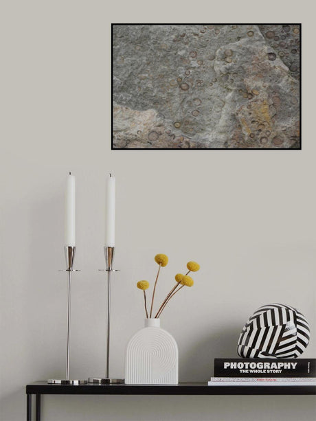 Tex Surface S26 Poster och Canvastavla