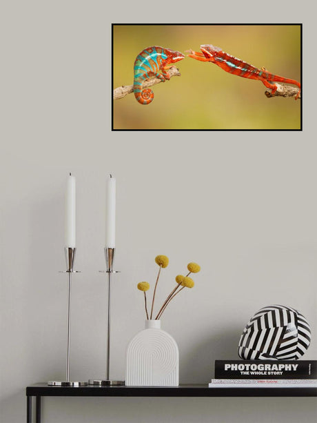 Panther chameleons Poster och Canvastavla