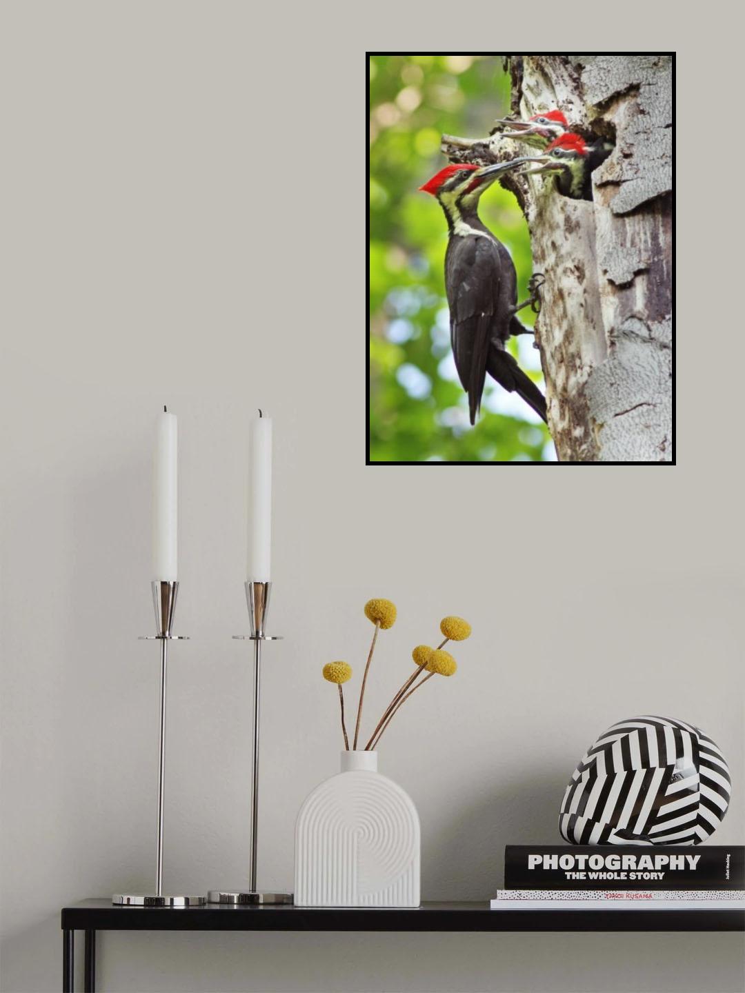 Pileated Woodpecker Poster och Canvastavla