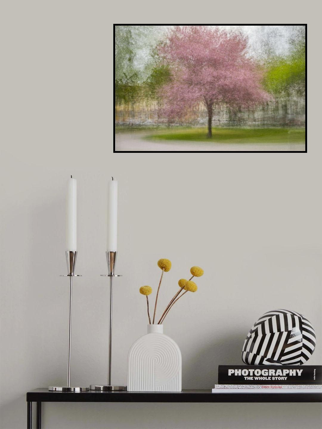 Japanese Cherry Tree in Eskil's Park Poster och Canvastavla