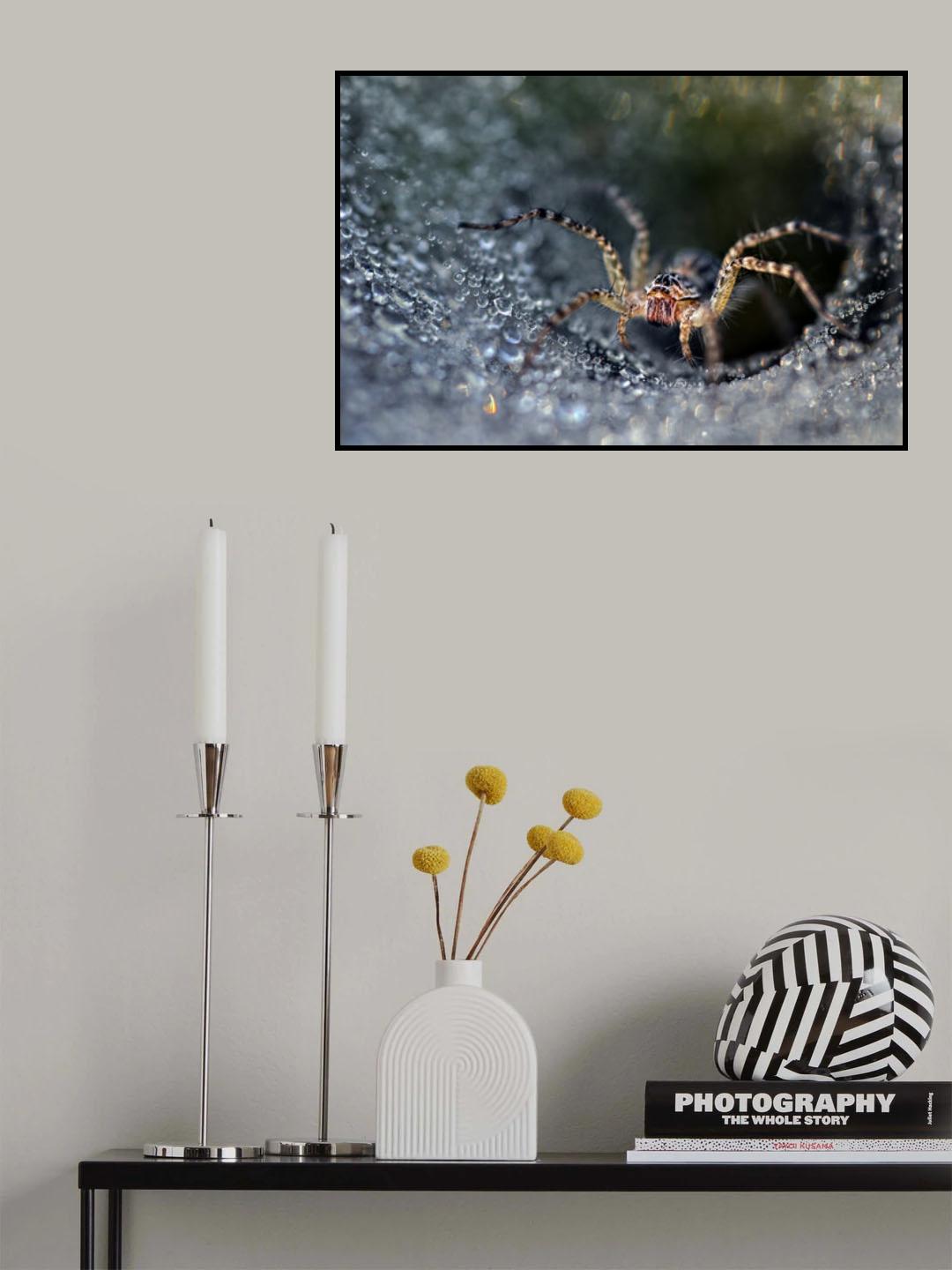 Morning Spider Poster och Canvastavla