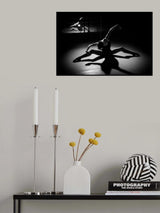 B&amp;W Ballet Poster och Canvastavla