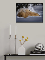Rest with Mom Poster och Canvastavla
