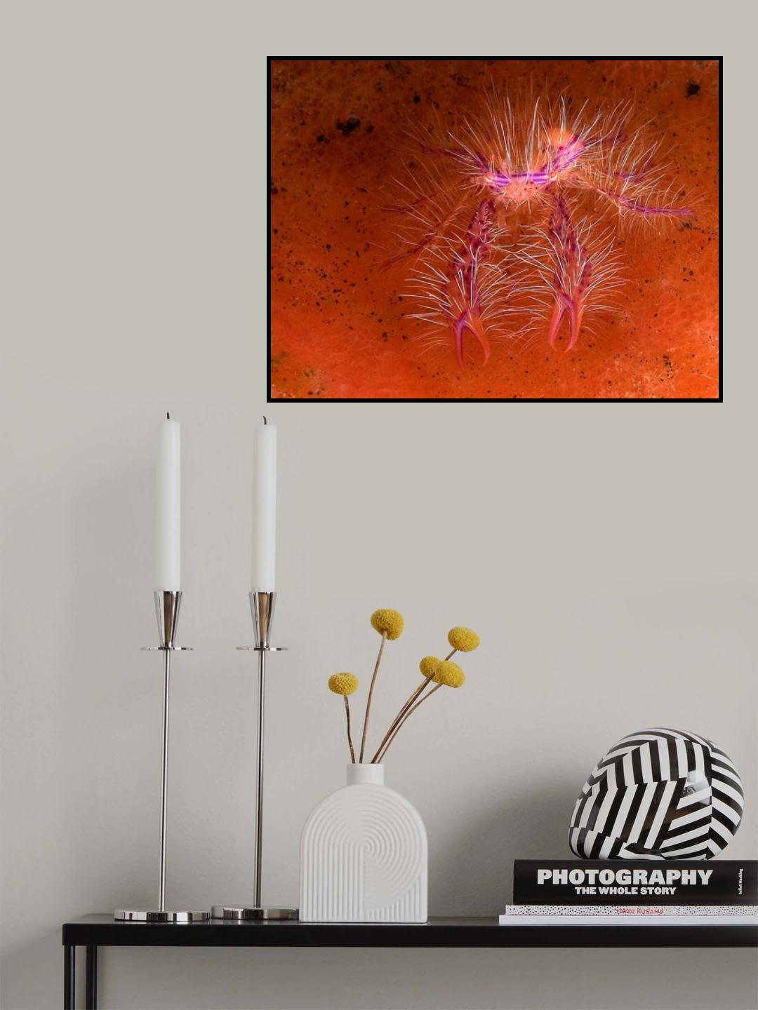Beautiful Poster och Canvastavla
