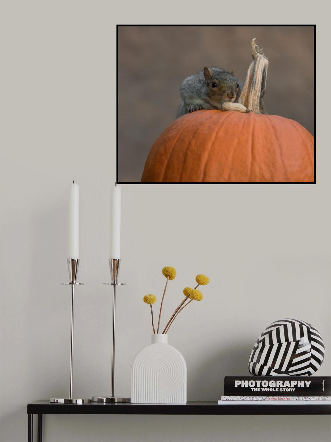 Squirrel Skippy 2e mouvement en citrouille mineure Poster och Canvastavla