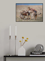 The hunt Poster och Canvastavla