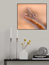 Pearl keeper... Poster och Canvastavla