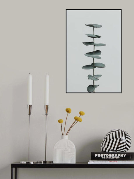 Eucalyptus Natural 09 Poster och Canvastavla