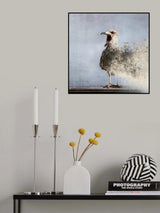 Waterbird Poster och Canvastavla