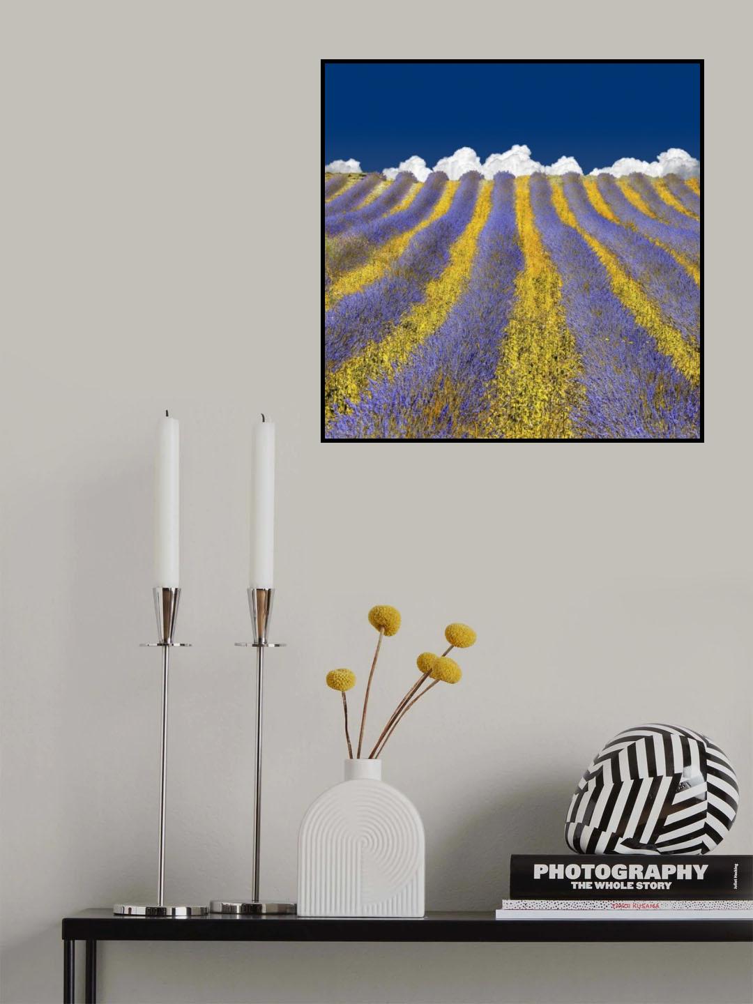 Lavender Heaven Poster och Canvastavla