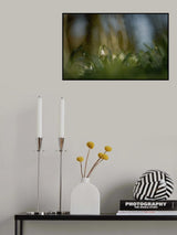 Almost alone... Poster och Canvastavla