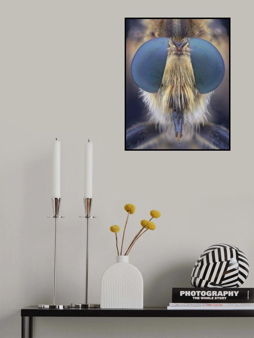 My Eyes Poster och Canvastavla