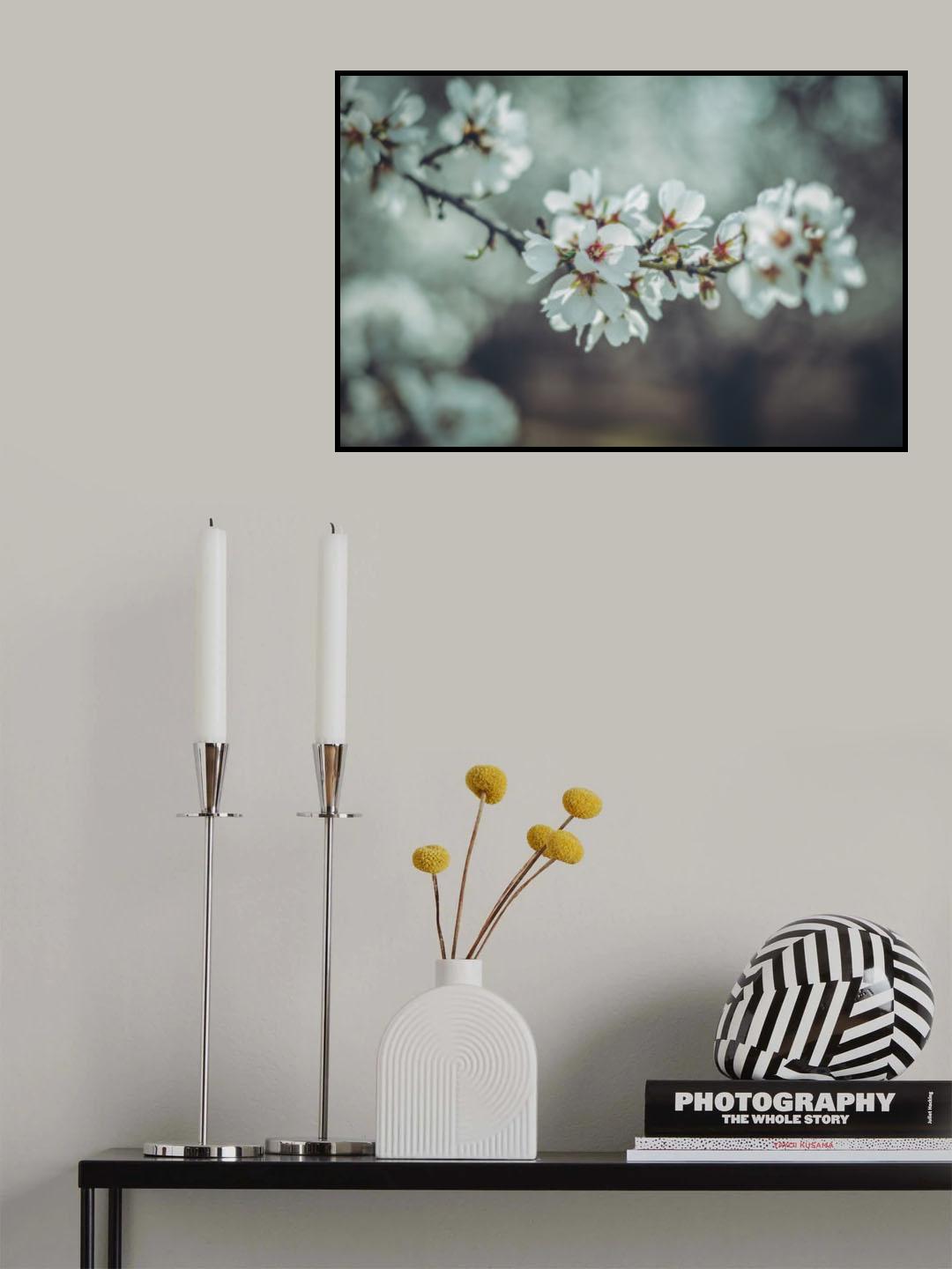 Almond Blossoms Poster och Canvastavla