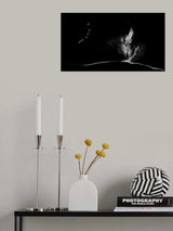 Fly to fire Poster och Canvastavla