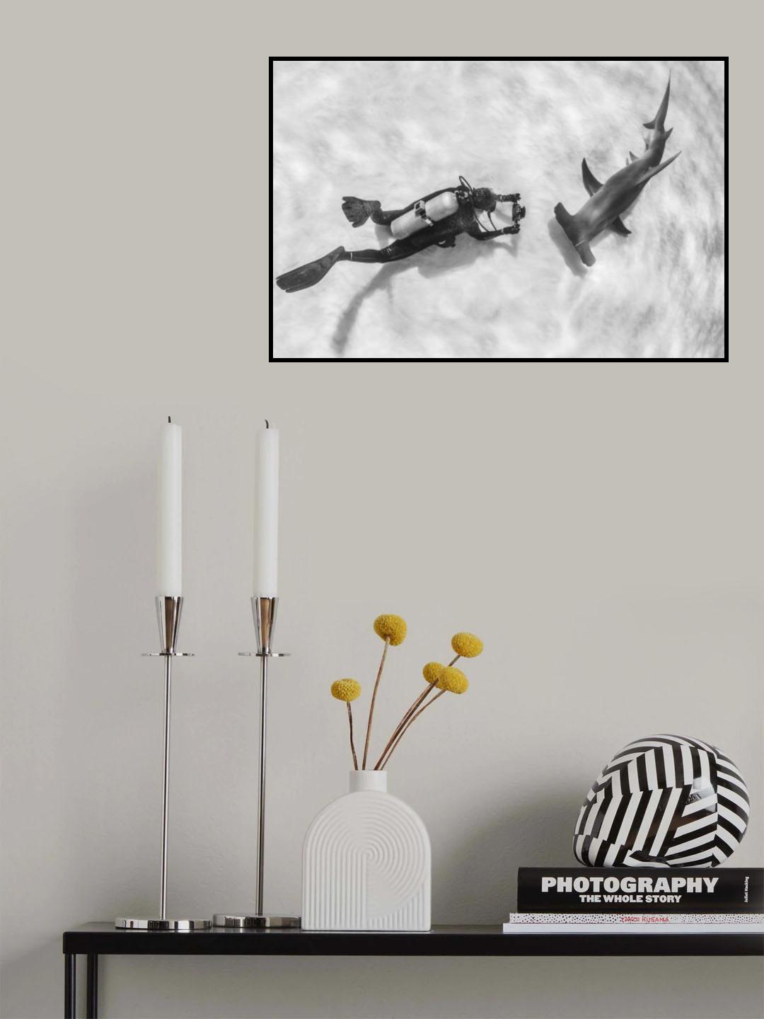 Eye to Eye Poster och Canvastavla