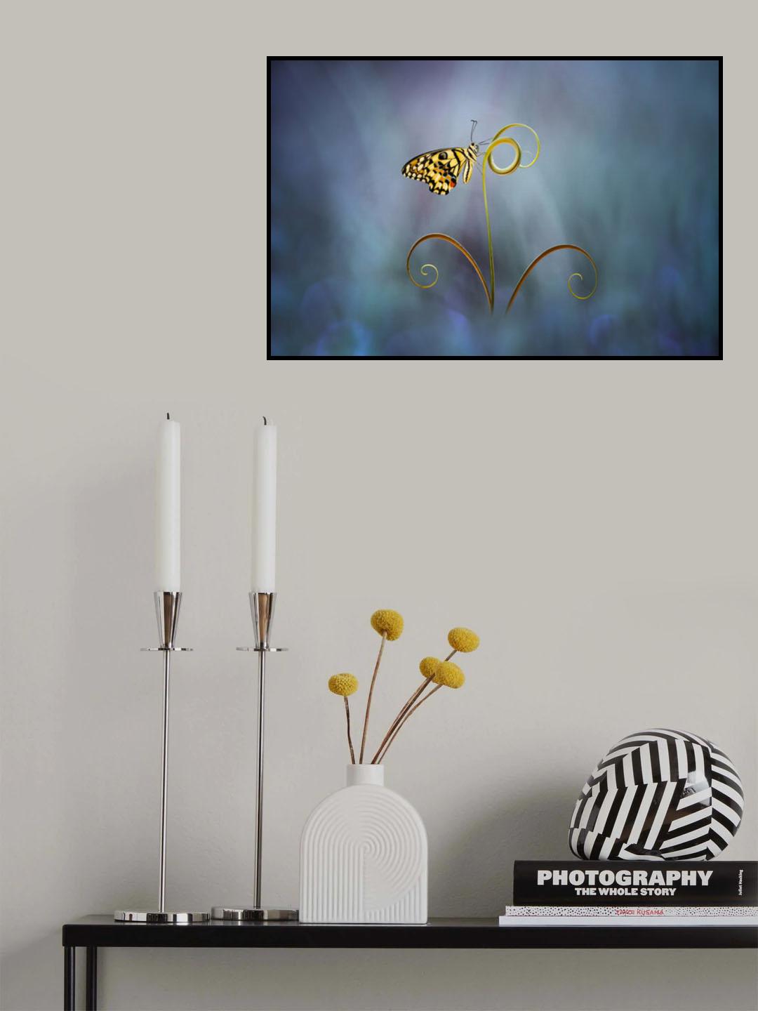beautiful butterfly blue Poster och Canvastavla