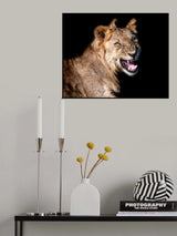 The King  ! Poster och Canvastavla