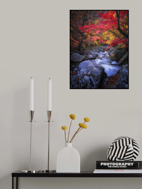 Autumn in the valley Poster och Canvastavla