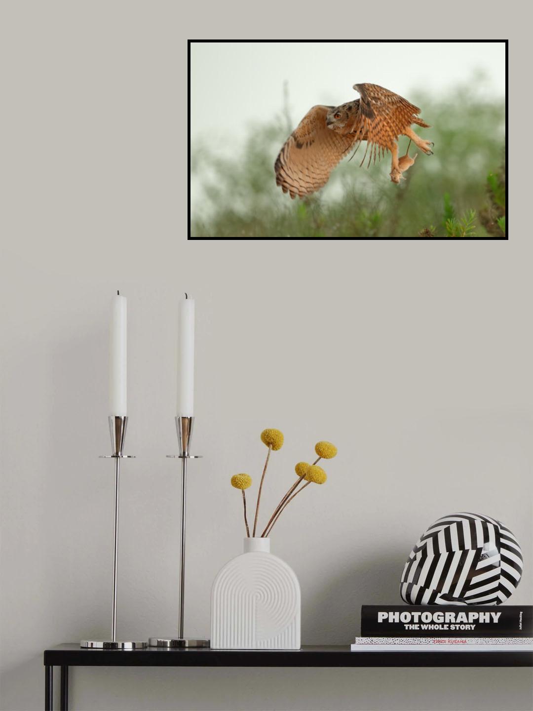 Eagle Owl &amp; Snatch Poster och Canvastavla