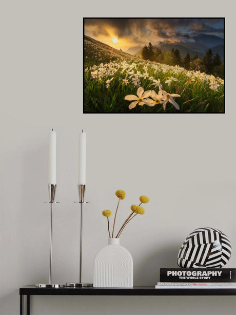 White carpet Poster och Canvastavla