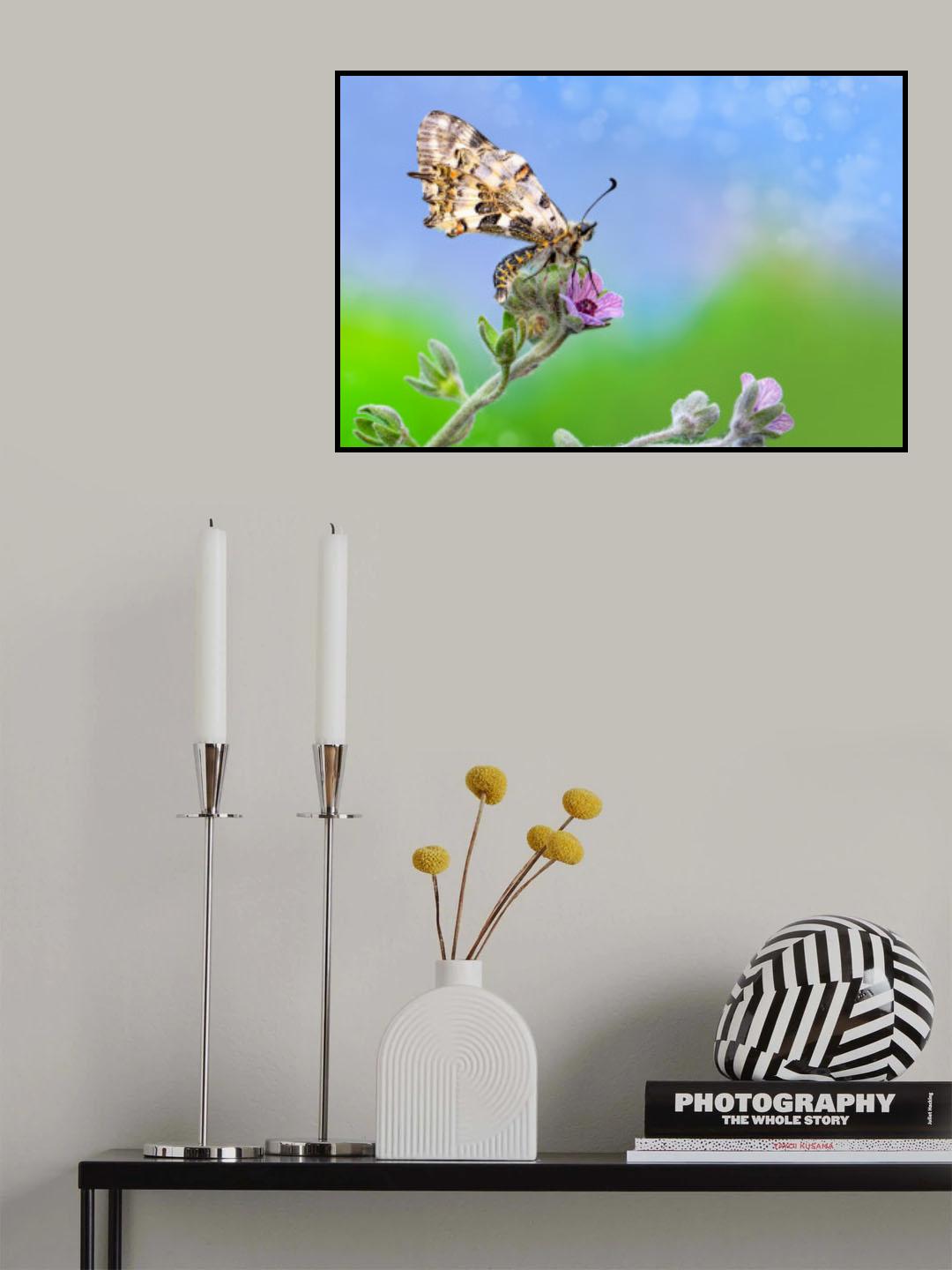 ANGEL Poster och Canvastavla