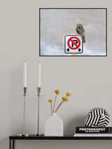 No Parking Poster och Canvastavla