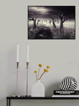 The forest of the forgiveness Poster och Canvastavla