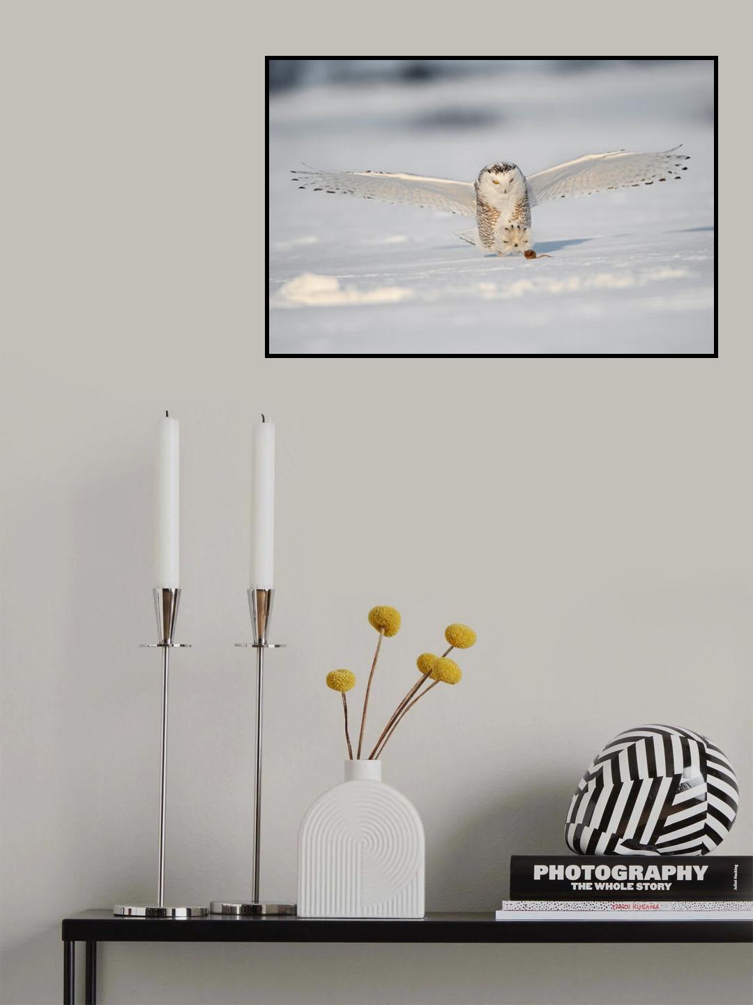 Grabbing the mouse Poster och Canvastavla