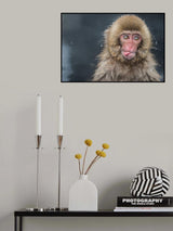 (ゝω・)ﾃﾍﾍﾟﾛ Poster och Canvastavla