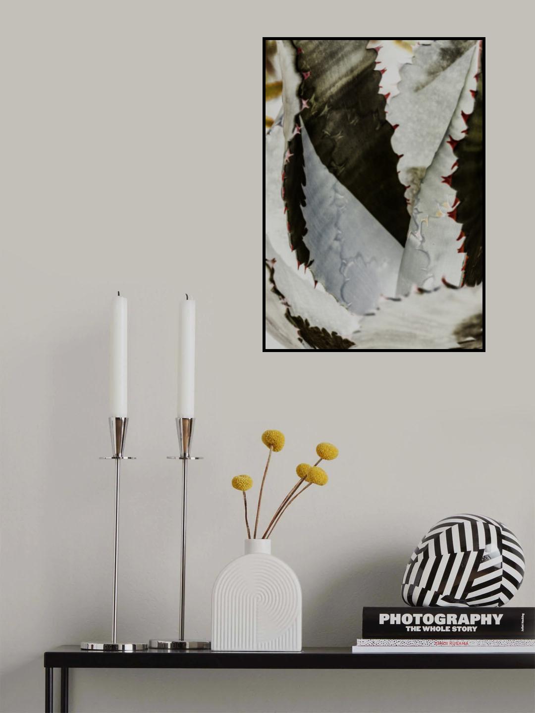 Nova Poster och Canvastavla
