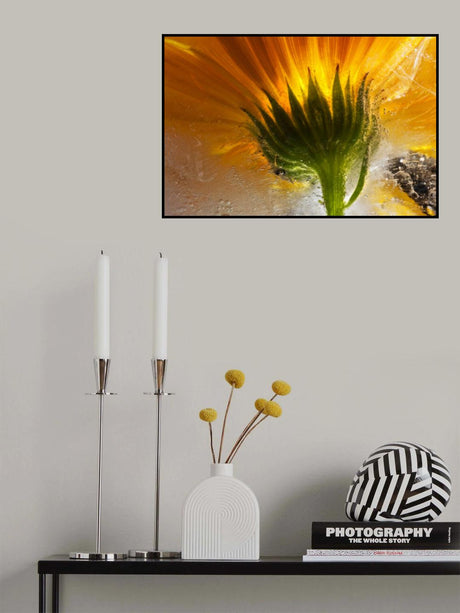 Frozen Marigold Poster och Canvastavla