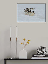 Follow the guide Poster och Canvastavla