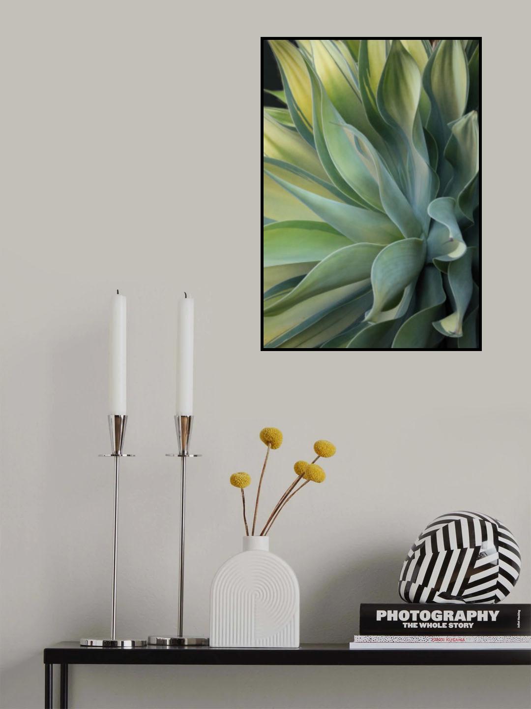 The Agave along the California Coast Poster och Canvastavla