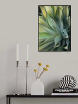 The Agave along the California Coast Poster och Canvastavla
