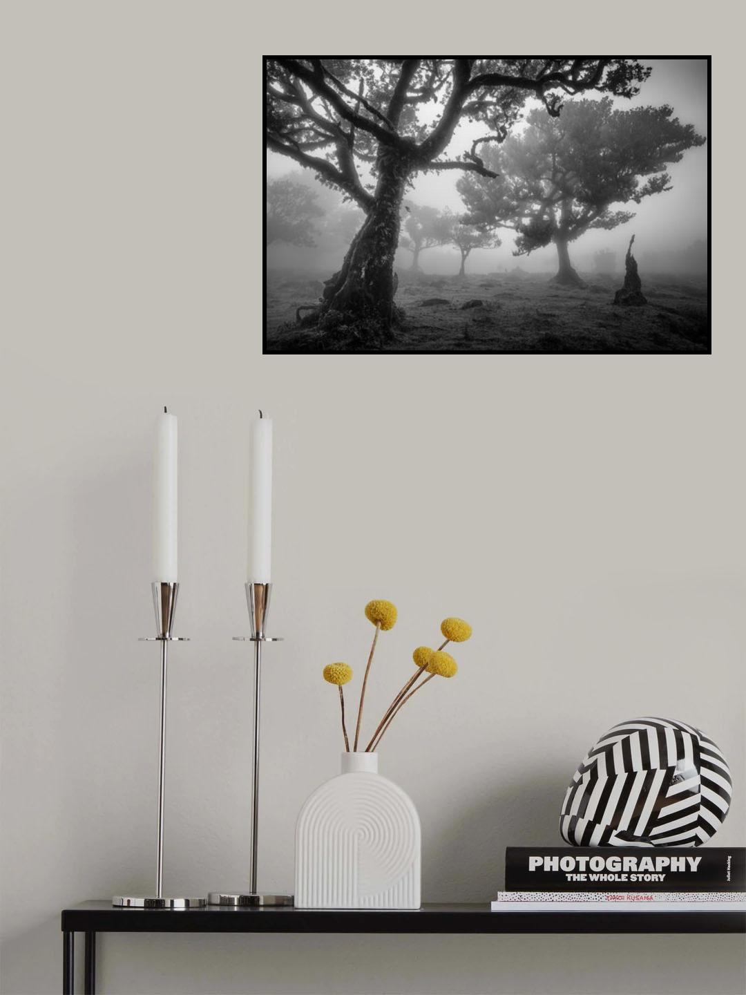 Tree Study 1. Poster och Canvastavla
