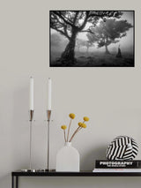 Tree Study 1. Poster och Canvastavla