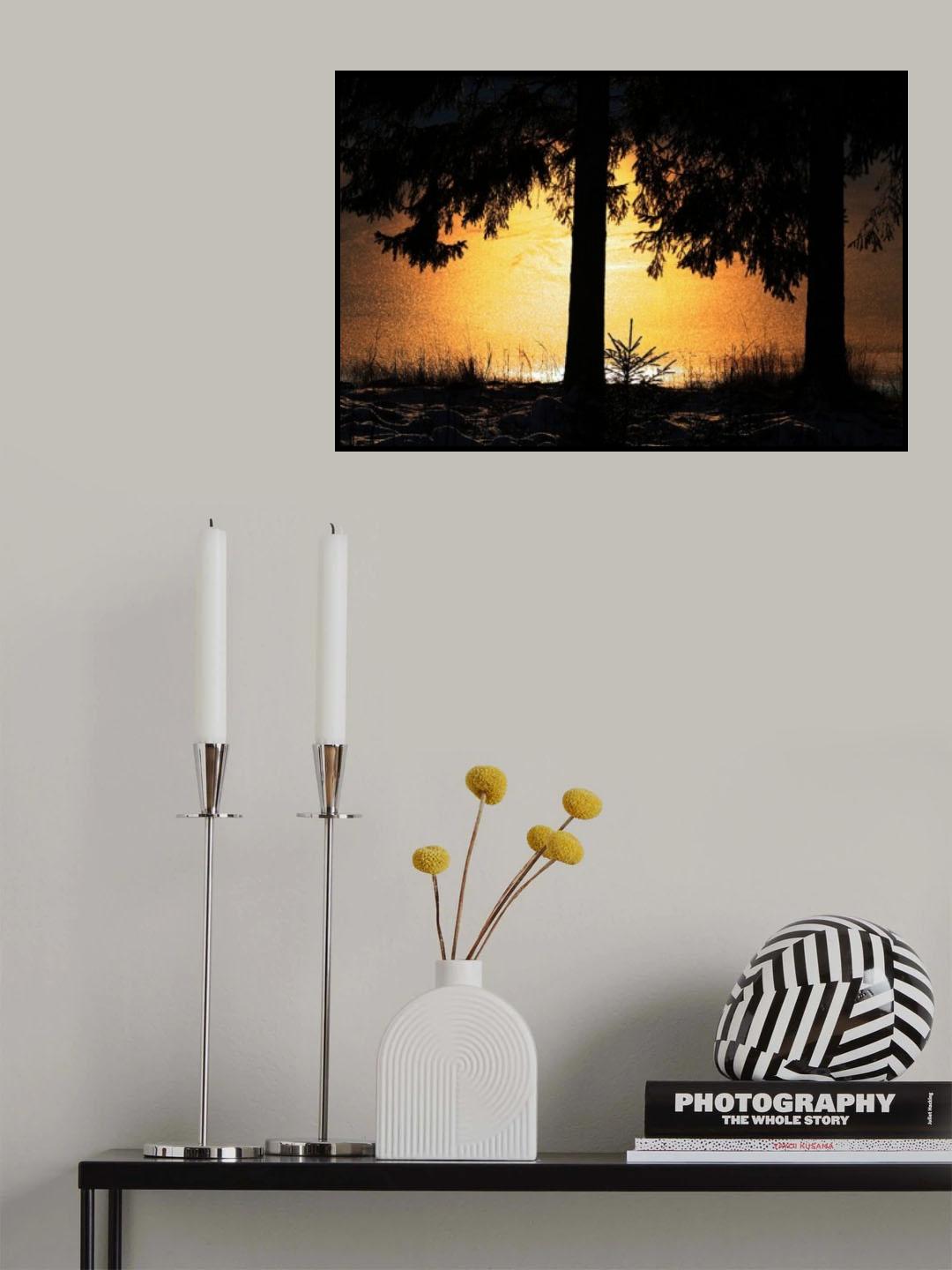 The light Poster och Canvastavla