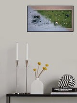 Winter/Summer Poster och Canvastavla