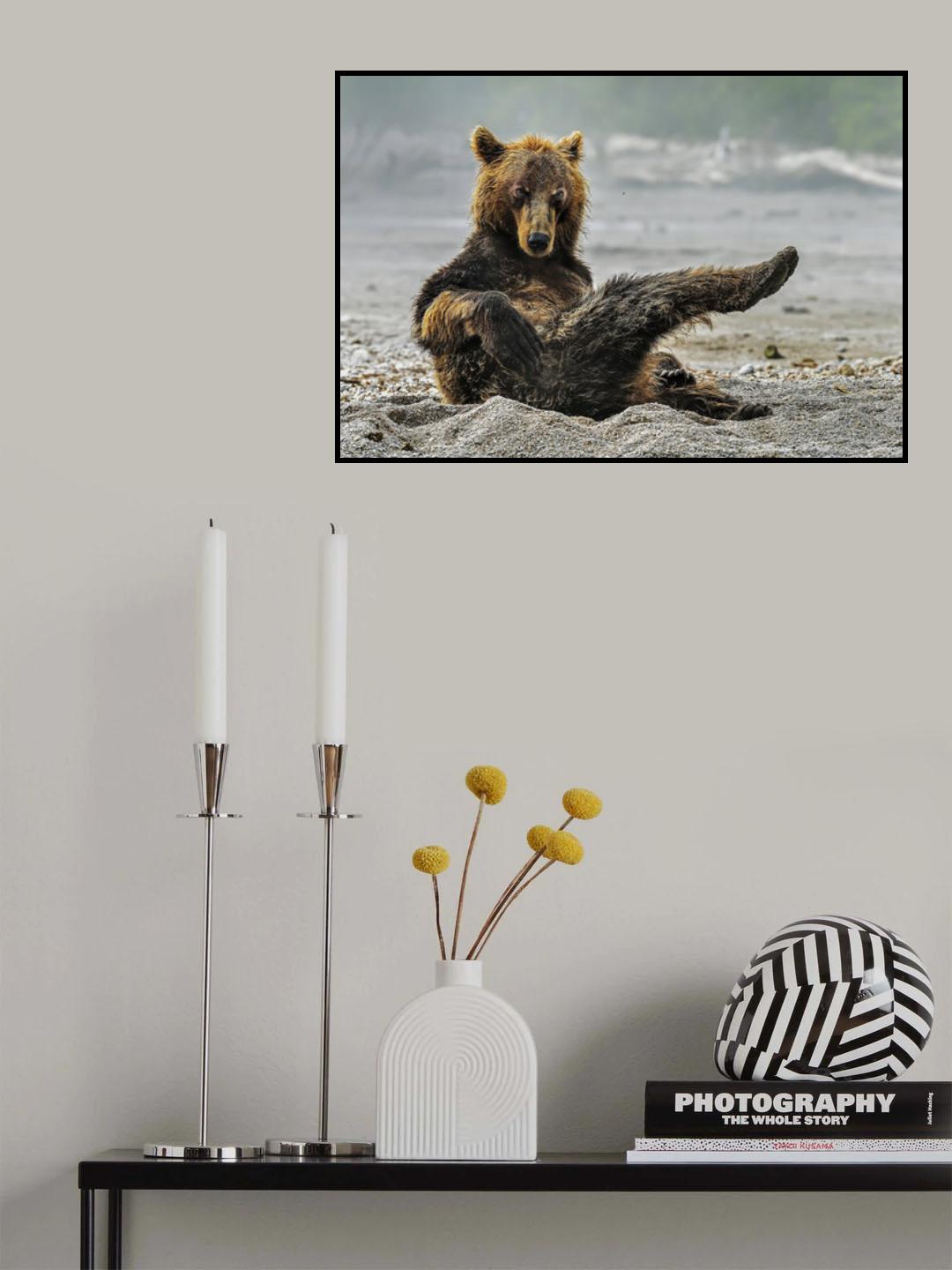 Sexi bear Poster och Canvastavla