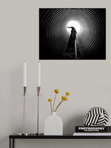 Lines Freedom Poster och Canvastavla