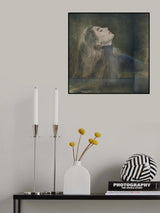 Portrait#20 Poster och Canvastavla
