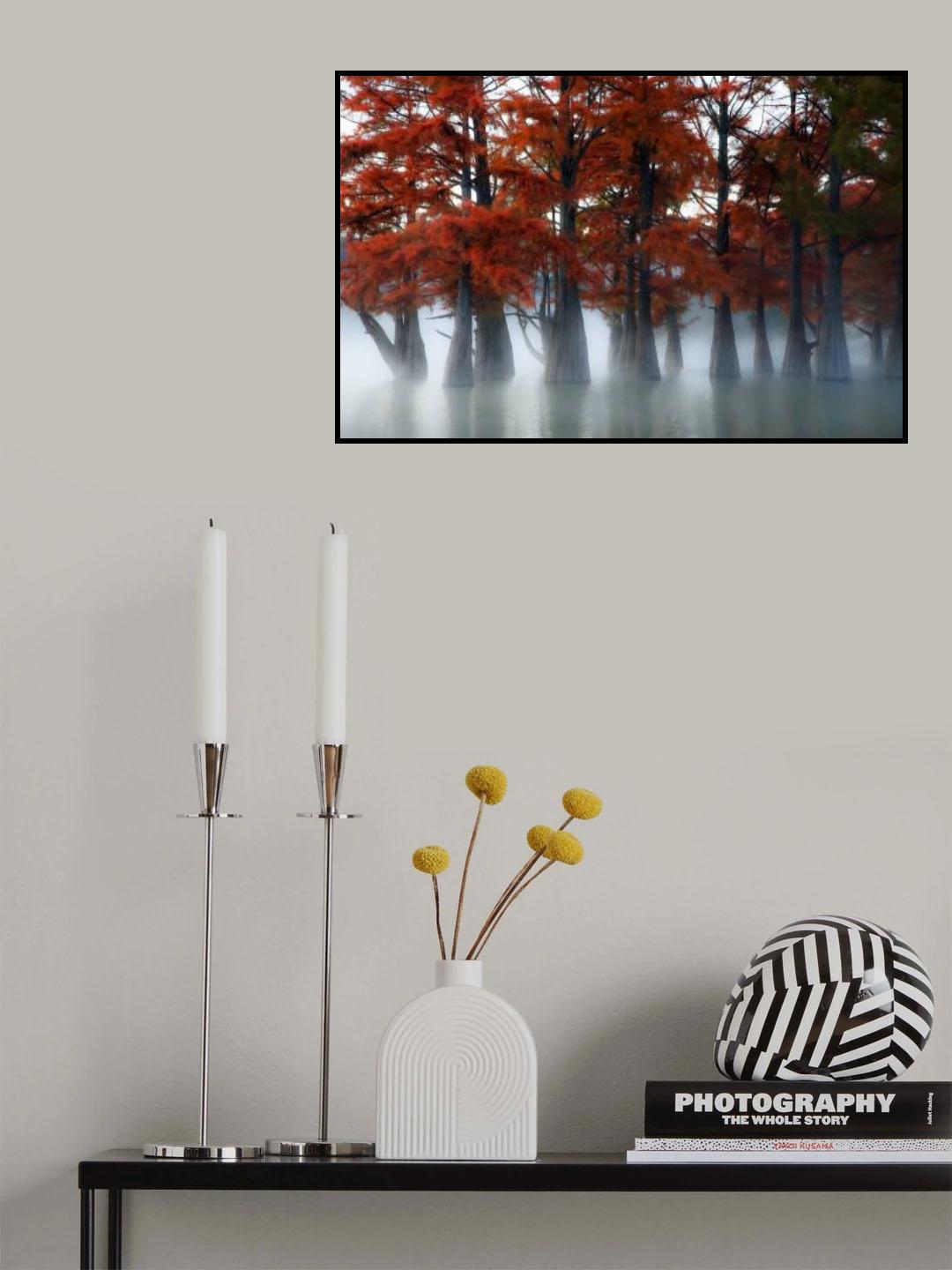 Cypress Trees Poster och Canvastavla