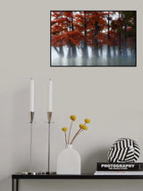 Cypress Trees Poster och Canvastavla