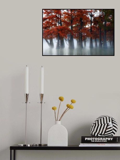 Cypress Trees Poster och Canvastavla