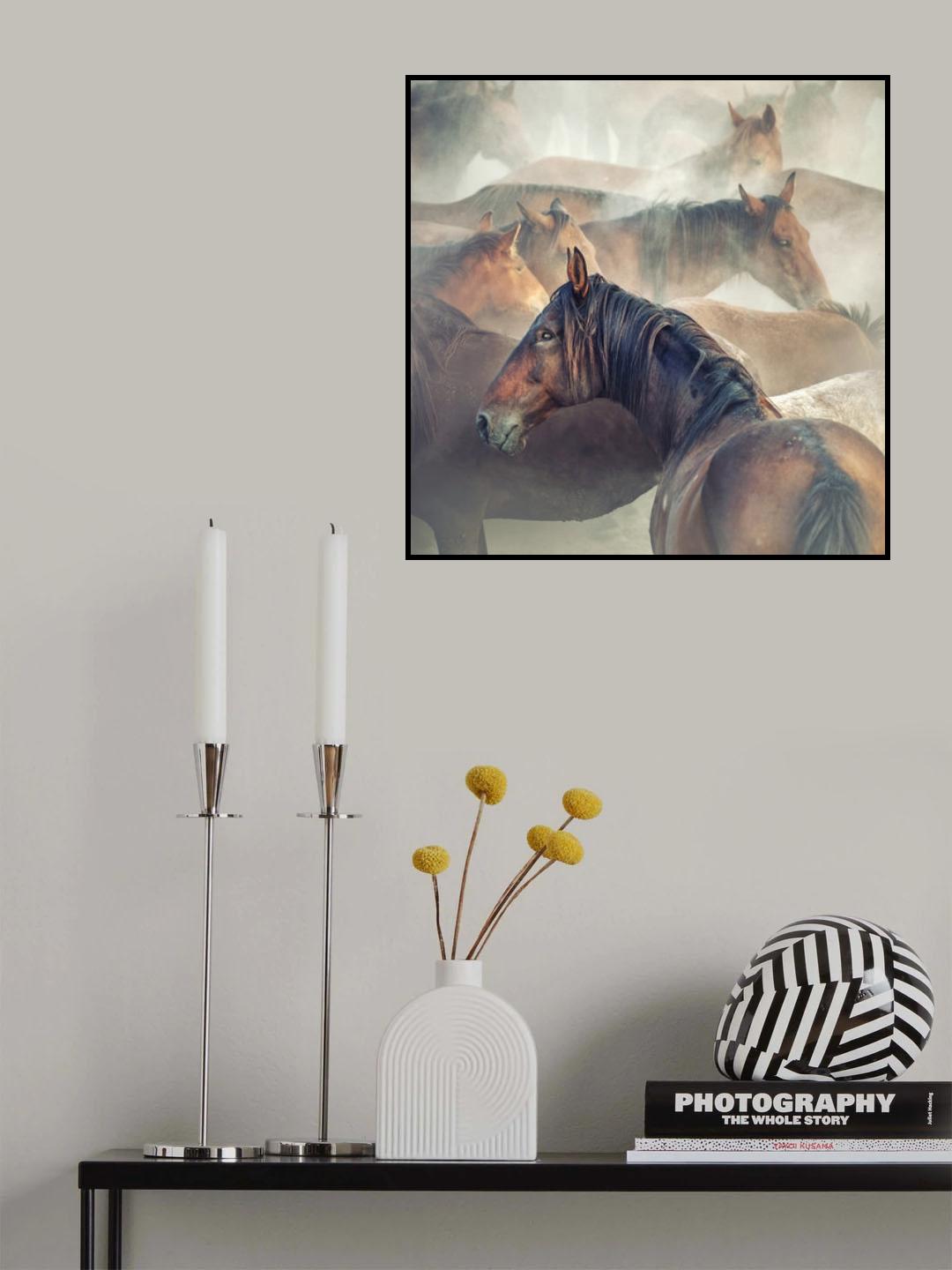 Tired Horses Poster och Canvastavla